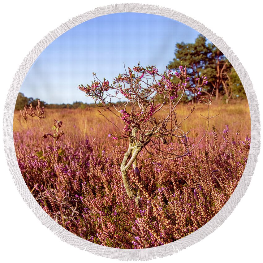 Red Round Beach Towel featuring the photograph Heather plant tree by MPhotographer