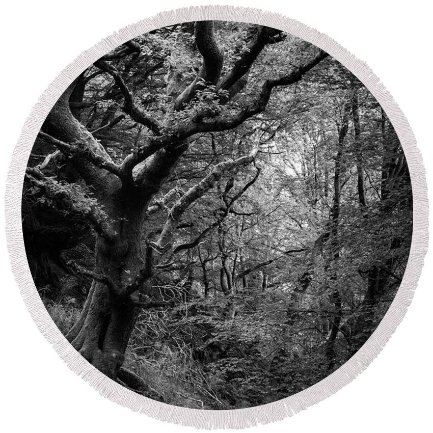 Tree Round Beach Towel featuring the photograph Hello darkness by Gavin Lewis