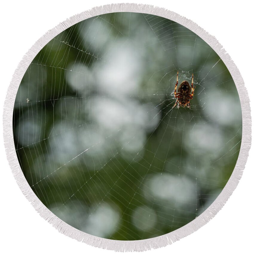 Ventral View Round Beach Towel featuring the photograph Hentz Orb Weaver and Web by Brooke Bowdren