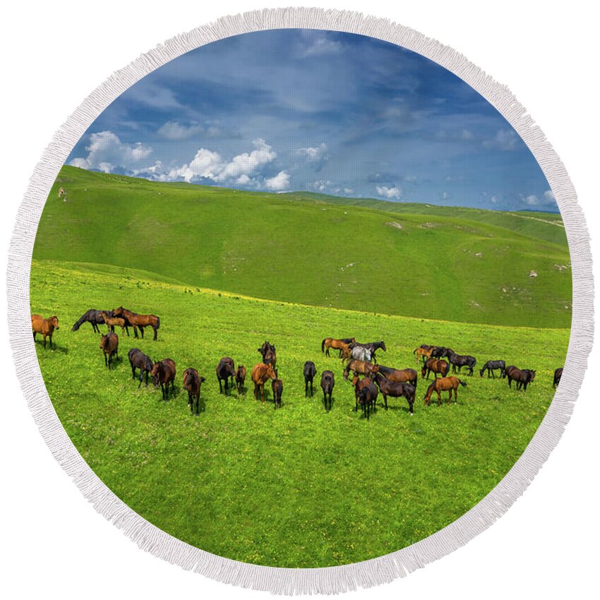 Horse Round Beach Towel featuring the photograph Herd Of Horses Grazing On Slope Meadow by Mikhail Kokhanchikov