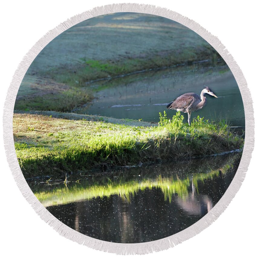 Great Blue Heron Round Beach Towel featuring the photograph Heron On Point by Jerry Griffin
