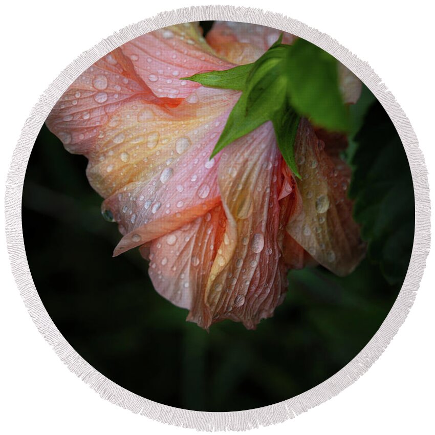 Bloom Round Beach Towel featuring the photograph Hibiscus After Rain by M Kathleen Warren