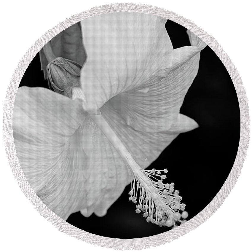 Hibiscus Round Beach Towel featuring the photograph Hibiscus in Black and White by Lyuba Filatova