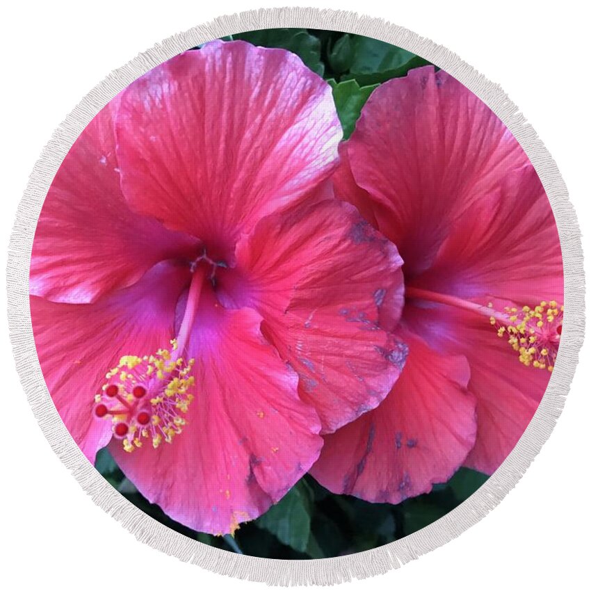  Round Beach Towel featuring the photograph Hibiscus by Stephen Dorton