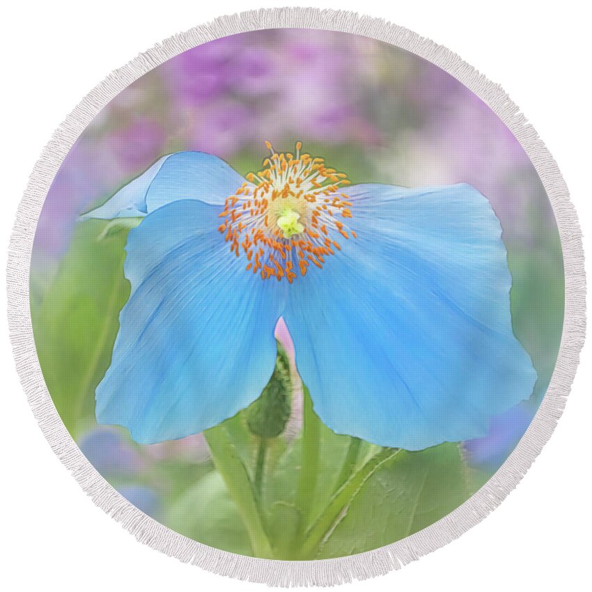 Poppy Round Beach Towel featuring the photograph Himalayan Blue Poppy - In The Garden by Sylvia Goldkranz