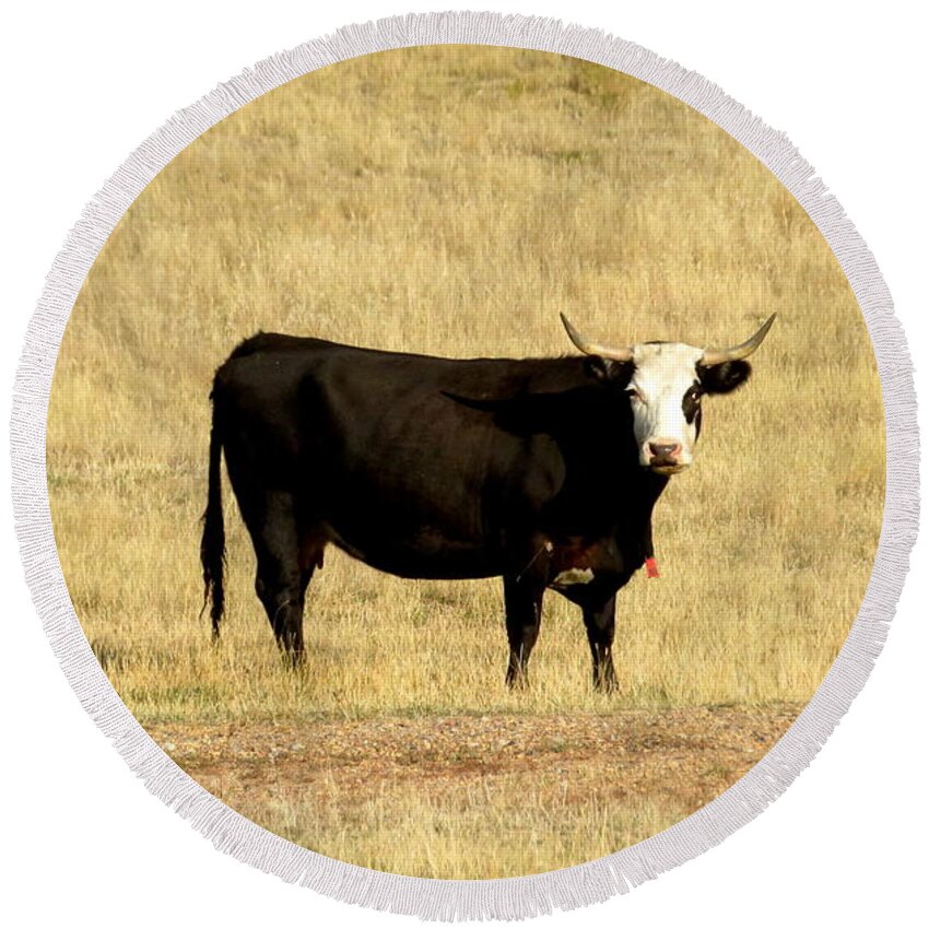 Cow Round Beach Towel featuring the photograph Hooks by Katie Keenan
