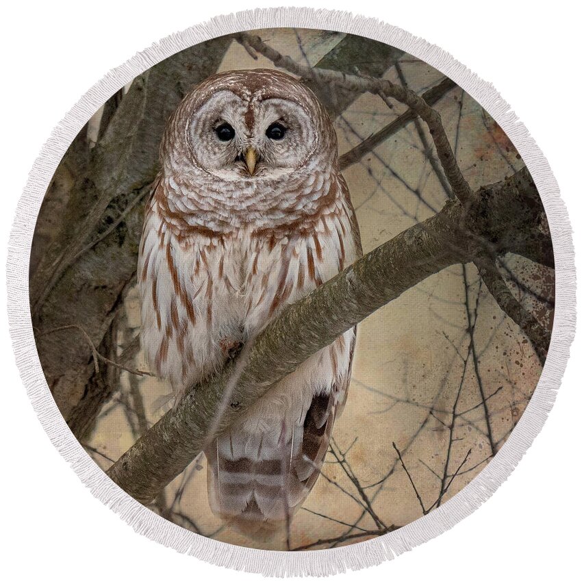 Barred Owl Round Beach Towel featuring the photograph Hoping for Olivia by Andrea Platt