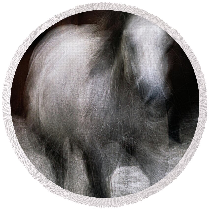 Landscape Round Beach Towel featuring the photograph Horse by Grant Galbraith