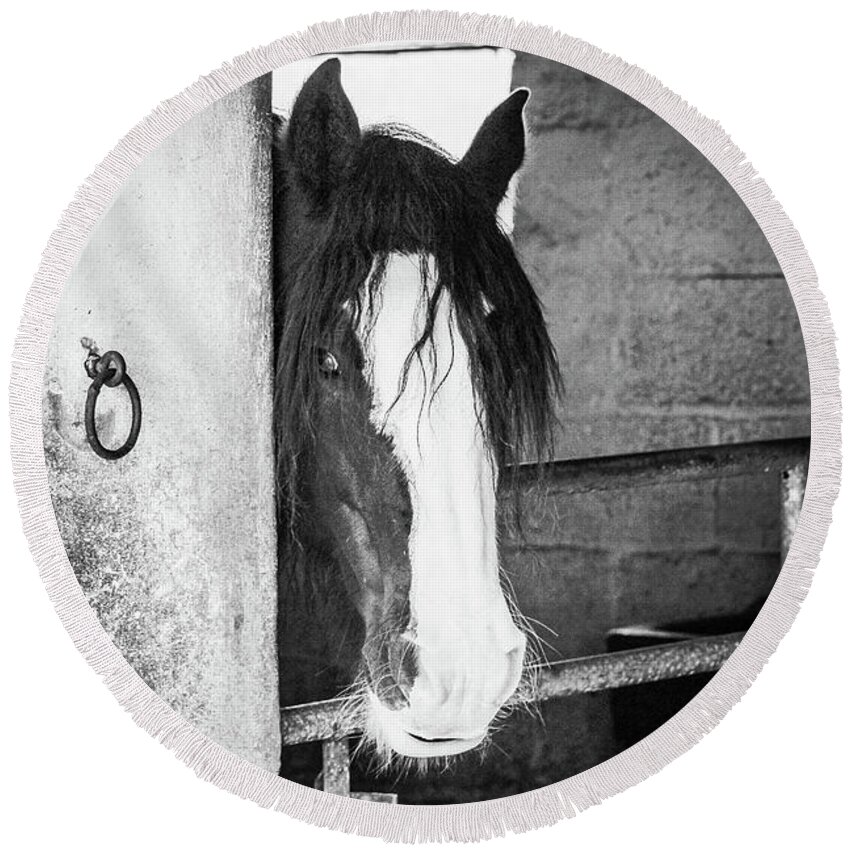 Horse Round Beach Towel featuring the photograph Horse in Stable bw Vert by Eddie Barron