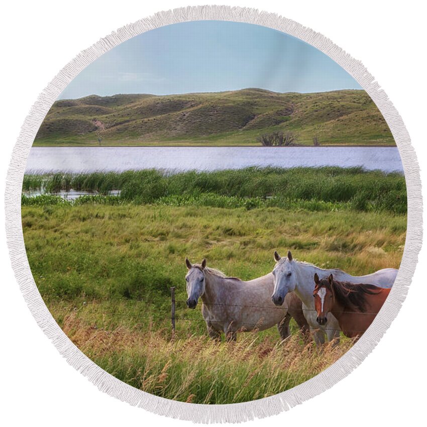 Horses Round Beach Towel featuring the photograph Horses at Beem Lake - Sandhills Journey by Susan Rissi Tregoning