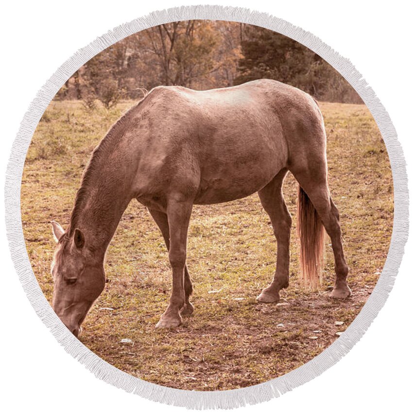 Cades Round Beach Towel featuring the photograph Horses Grazing in Cades Cove in Autumn Tones by Debra and Dave Vanderlaan