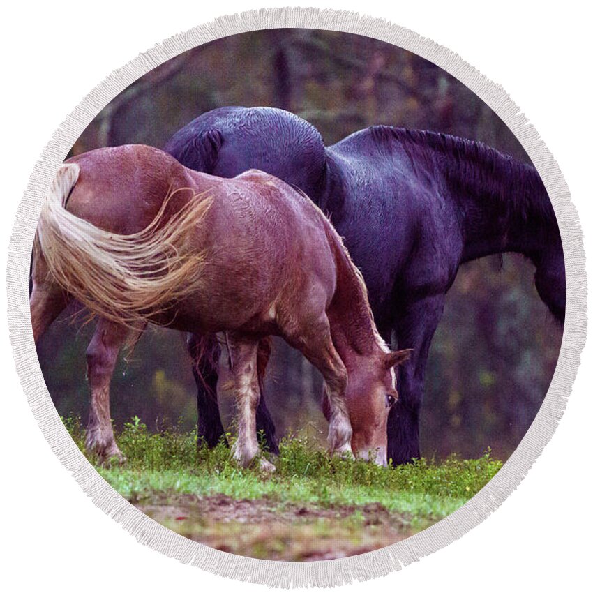 Cade's Cove Round Beach Towel featuring the photograph Horses in Cade's Cove by Darrell DeRosia