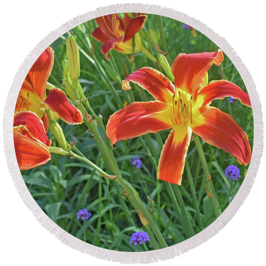 Daylilies Round Beach Towel featuring the photograph Hot July Field of Daylilies by Janis Senungetuk