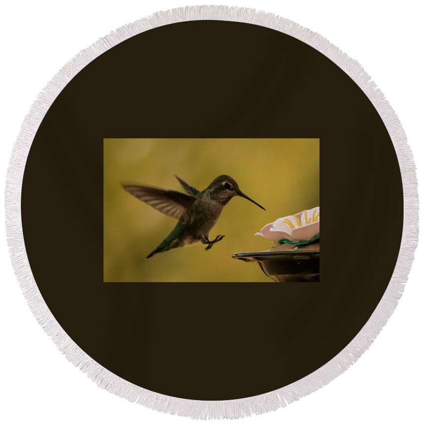  Round Beach Towel featuring the photograph Hummingbird landing by Dr Janine Williams