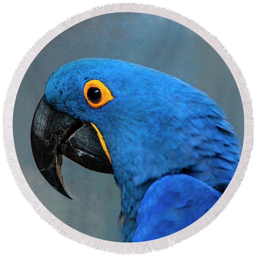 Macaw Round Beach Towel featuring the photograph Hyacinth Macaw Paintography by Anthony Jones