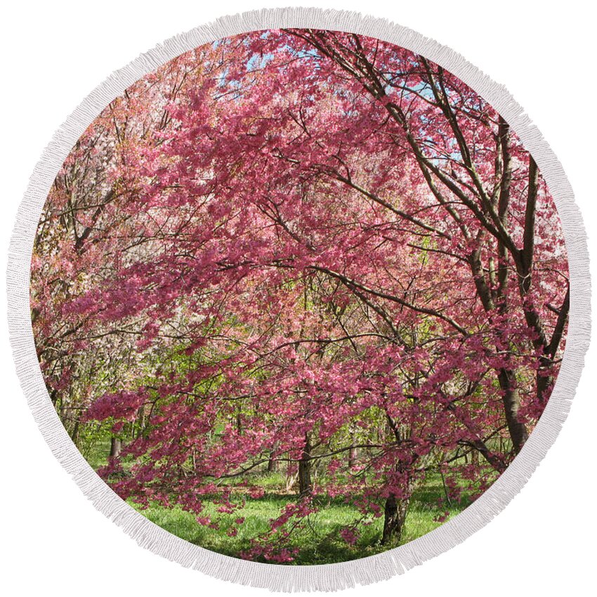 National Arboretum Round Beach Towel featuring the photograph Hybrid Cherry Blossoms by Valerie Brown