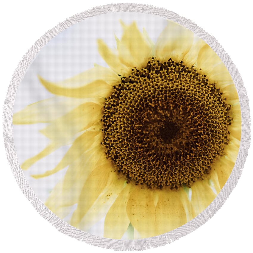 Sunflower Round Beach Towel featuring the photograph I Dream of Sunflower by Ada Weyland