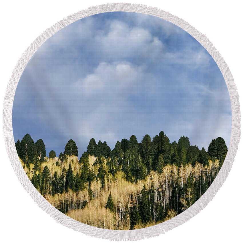 Nature Round Beach Towel featuring the photograph I Like To Watch by The Walkers