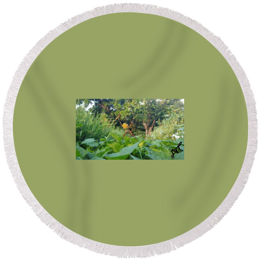 Spider Round Beach Towel featuring the photograph I Web You by Esoteric Gardens KN