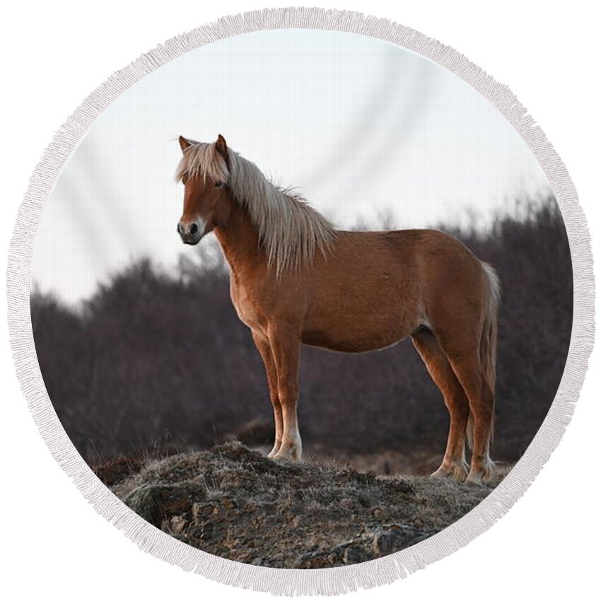 Iceland Round Beach Towel featuring the photograph Icelandic Horse Brown Blonde by William Kennedy