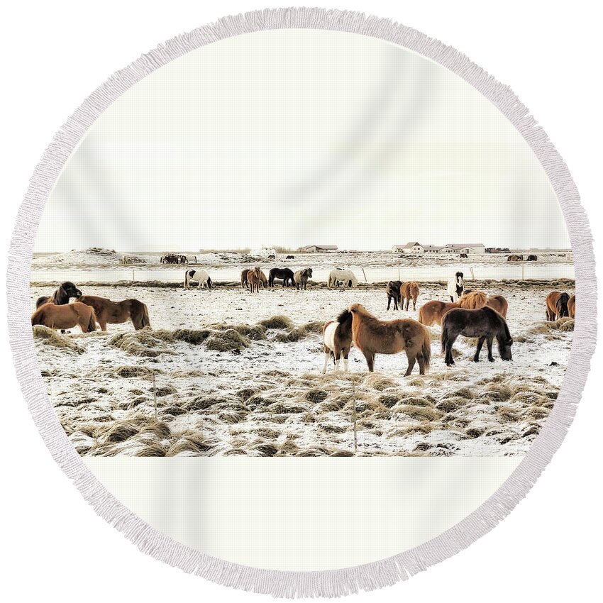 Iceland Round Beach Towel featuring the photograph Icelandic Ponies by Christopher Maxum