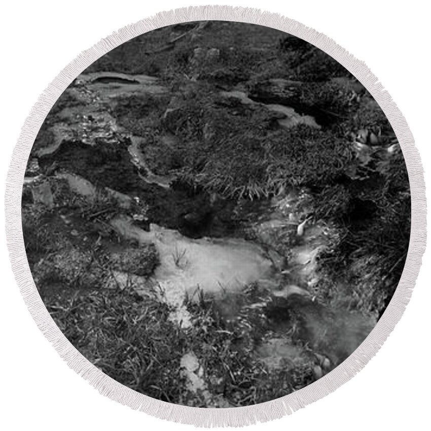 Richard E. Porter Round Beach Towel featuring the photograph Icy Stream, Lincoln National Forest, New Mexico by Richard Porter