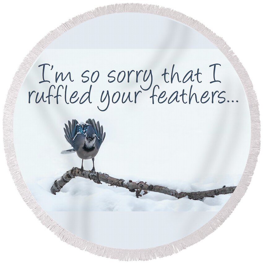Sorry Round Beach Towel featuring the photograph I'm Sorry Blue Jay Card by Patti Deters