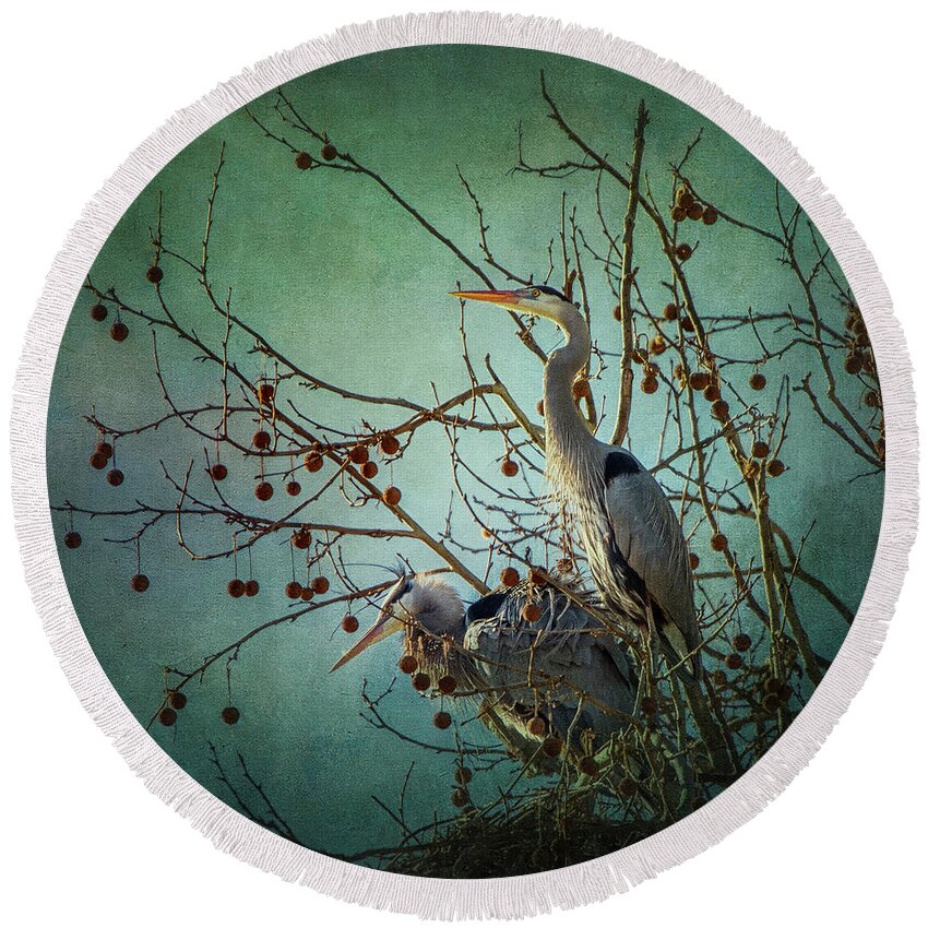 Great Blue Heron Round Beach Towel featuring the photograph Impassive Blues by Rosette Doyle