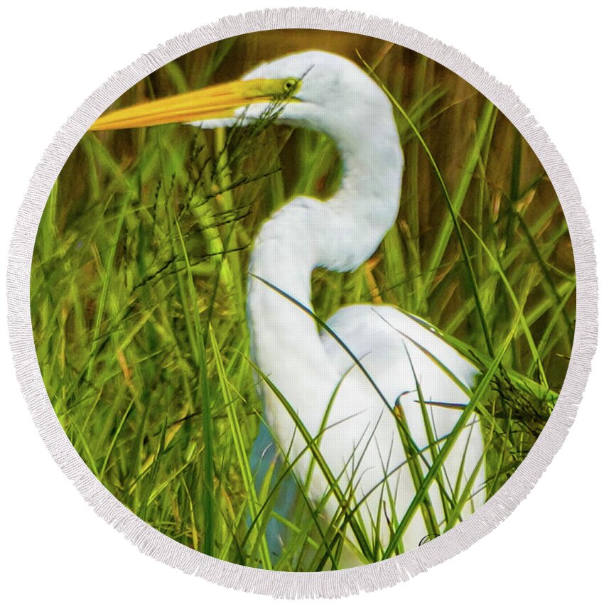 Bird Round Beach Towel featuring the photograph In the weeds by Shawn M Greener