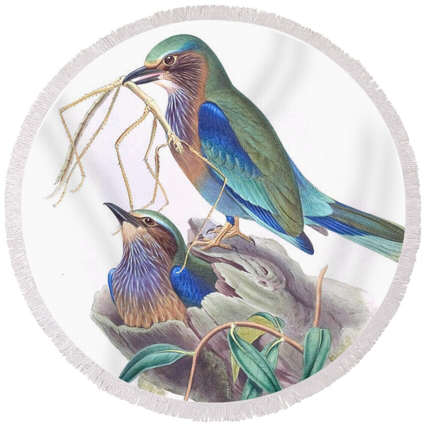 Birds Round Beach Towel featuring the mixed media Indochinese Roller Bird by World Art Collective