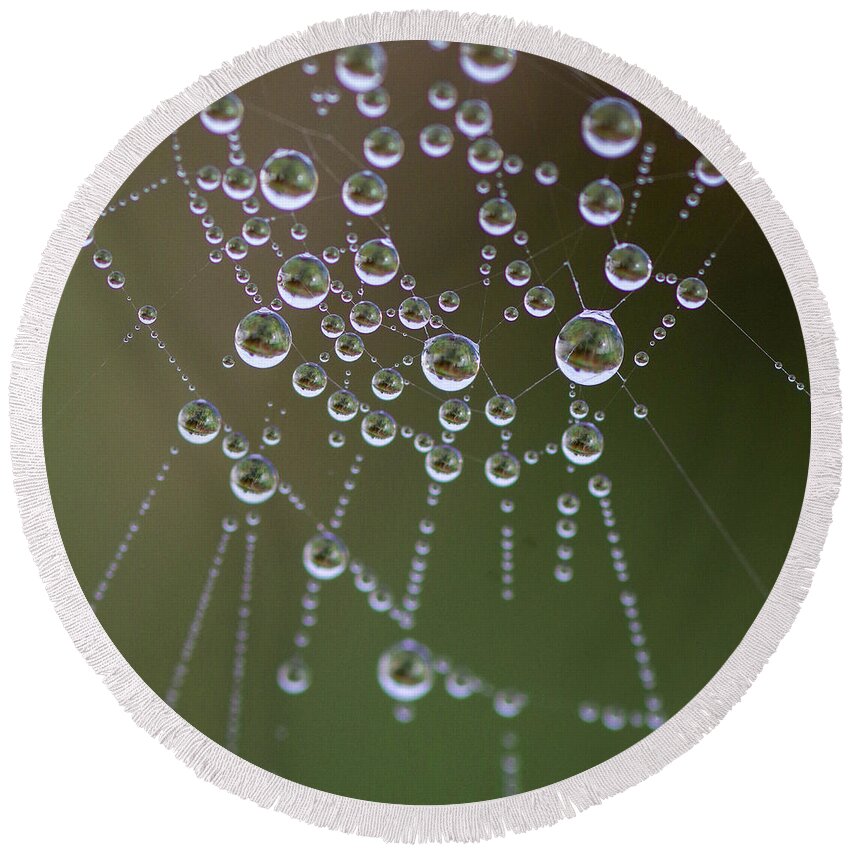 Web.droplets Round Beach Towel featuring the photograph Intricate beauty by Jeff Swan