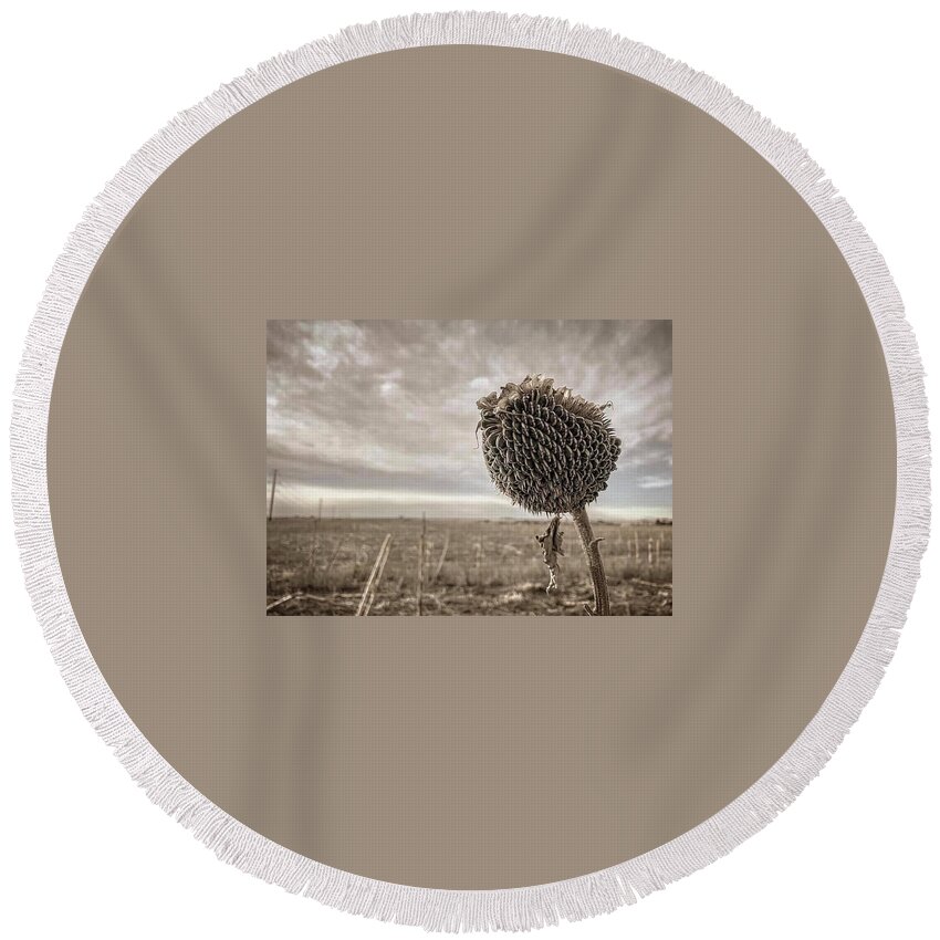 Iphonography Round Beach Towel featuring the photograph iPhonography Sunflower 1 by Julie Powell