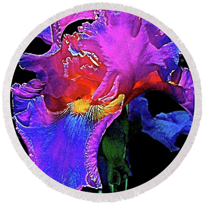 Flowers Round Beach Towel featuring the photograph Iris 3 by Pamela Cooper