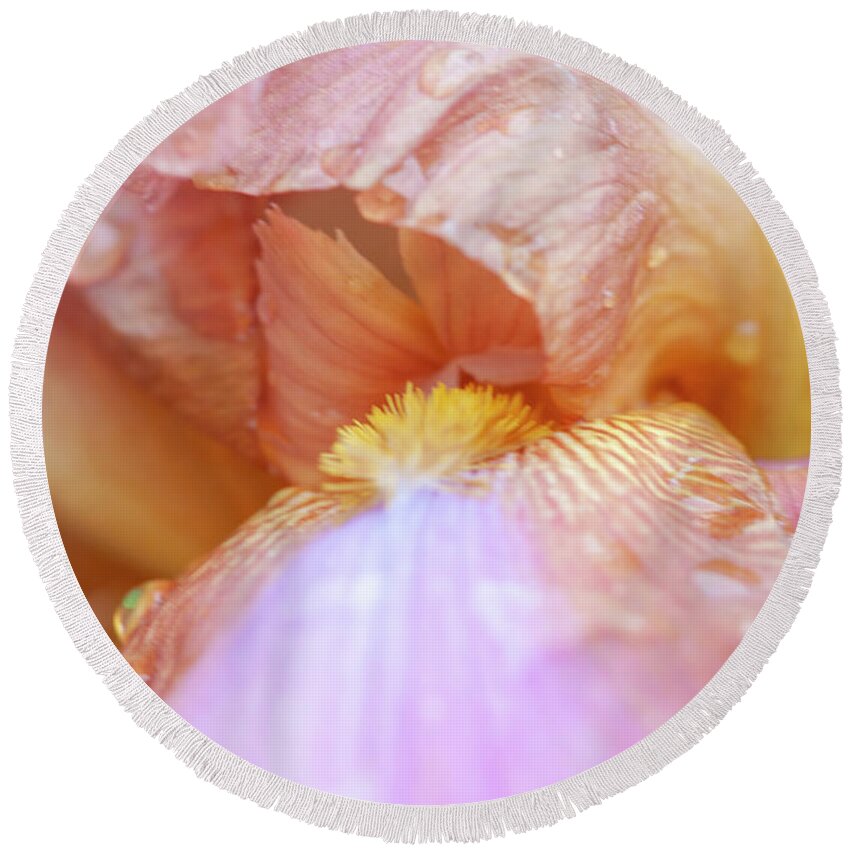 Flower Round Beach Towel featuring the photograph Iris Flower Protecting After Rain Storm No. 6858 by Sherry Hallemeier