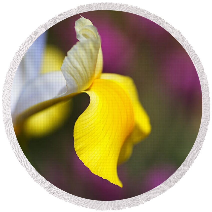 Iridaceae Round Beach Towel featuring the photograph Iris Side Face by Joy Watson