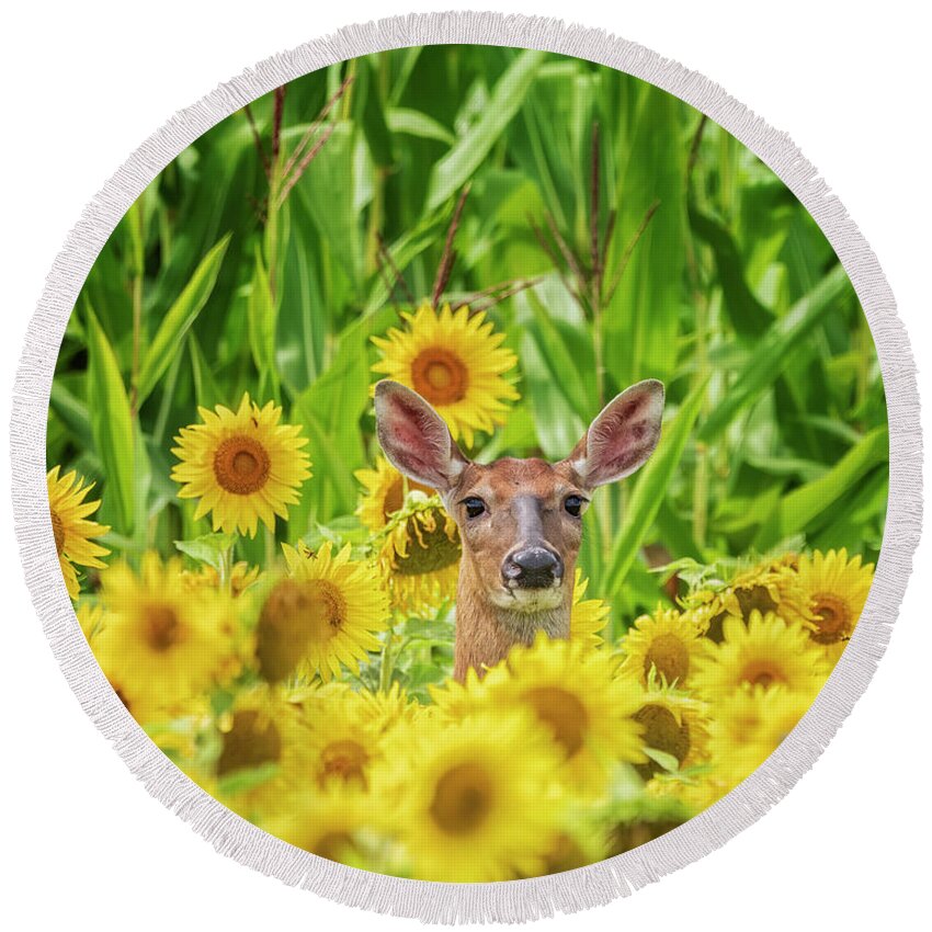 Corn Field Round Beach Towel featuring the photograph Is This Heaven? by Peg Runyan