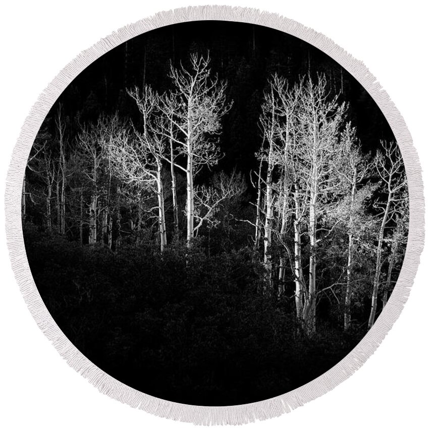 Black And White Round Beach Towel featuring the photograph Isolated by Light by Jon Glaser