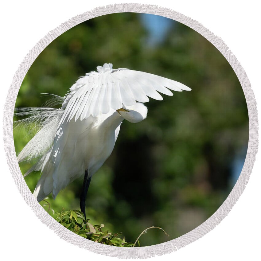 Great Egret Round Beach Towel featuring the photograph It's Here Somewhere by Jim Miller