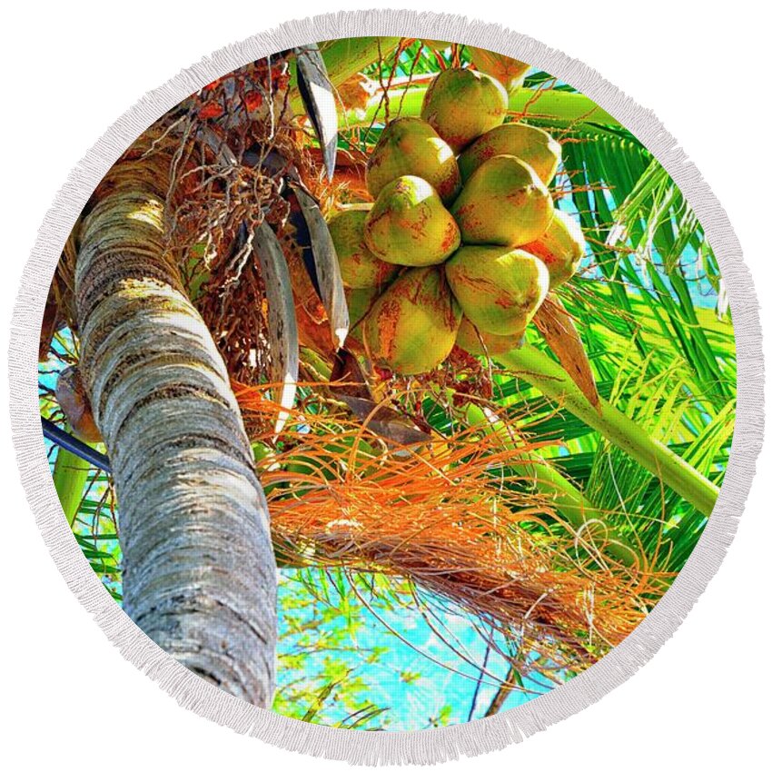 Coconut Round Beach Towel featuring the photograph Jammin by Alison Belsan Horton