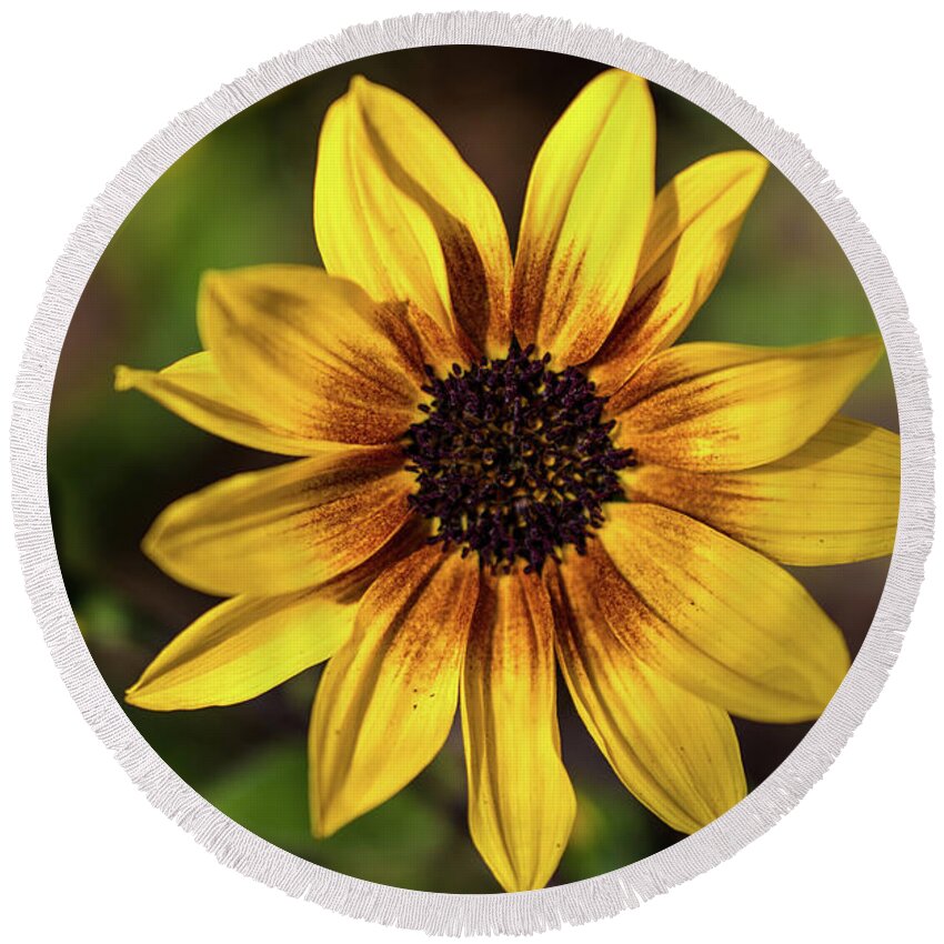 Yellow Round Beach Towel featuring the photograph Joyful Yellow by Abigail Diane Photography