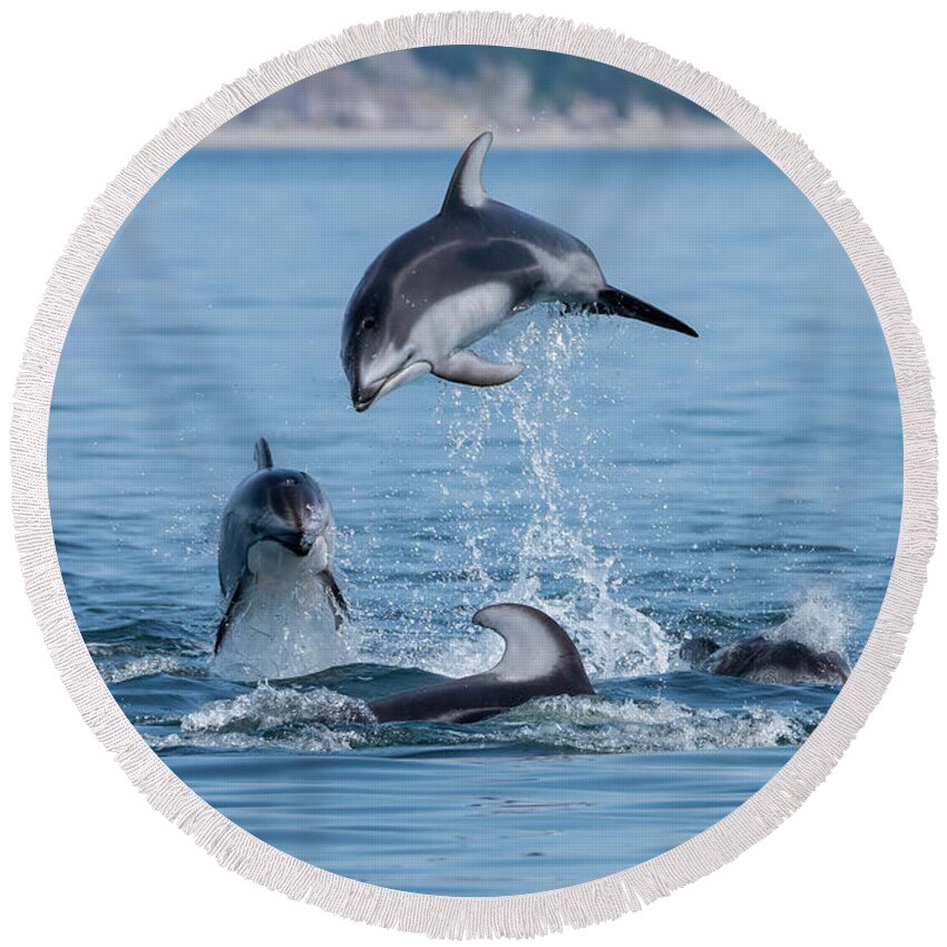 Jump For Joy Round Beach Towel featuring the photograph Jump For Joy - Dolphin Art by Jordan Blackstone