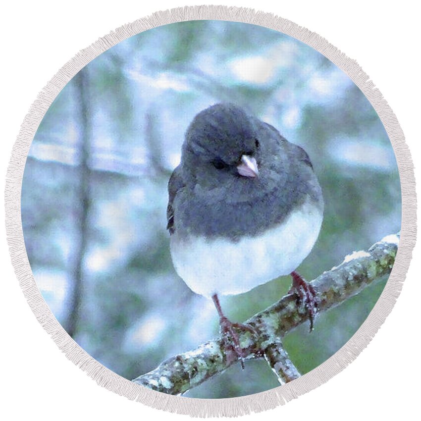 Woods Round Beach Towel featuring the photograph Junco by Eunice Warfel