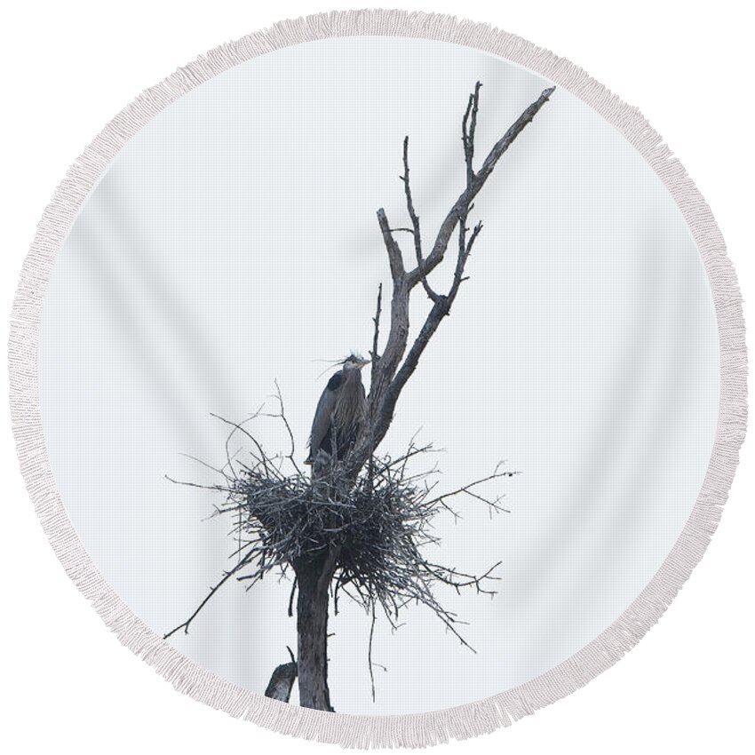 Great Blue Heron Round Beach Towel featuring the photograph Keeping Watch by David Waldrop