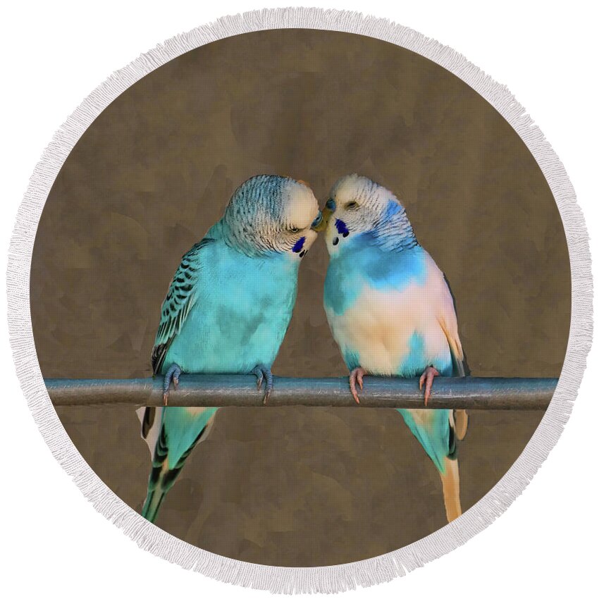 Parakeet Round Beach Towel featuring the photograph Kissing Cousins by Allen Beatty