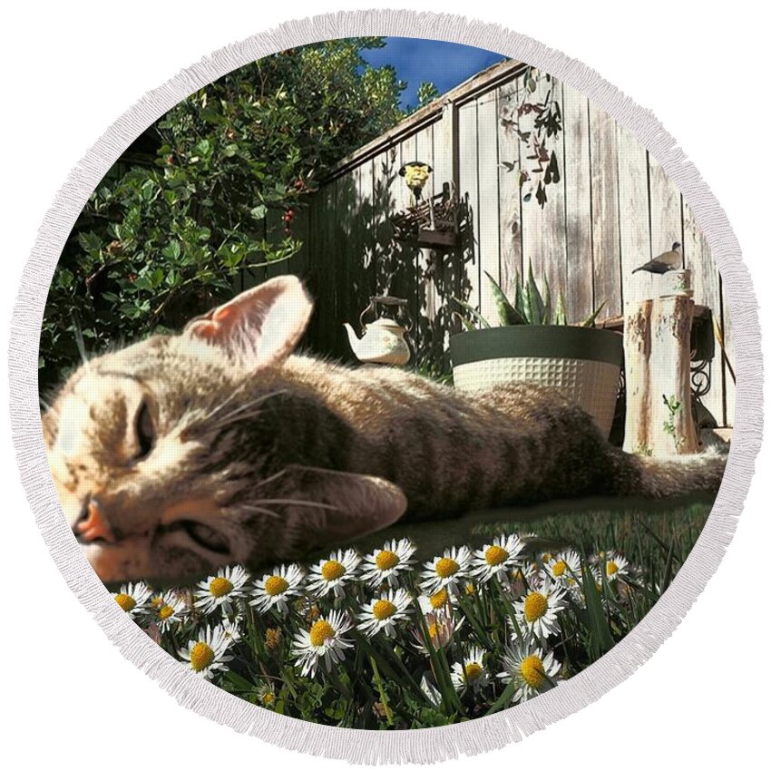 Digital Painting Round Beach Towel featuring the photograph Kissy Chamomile by Richard Thomas