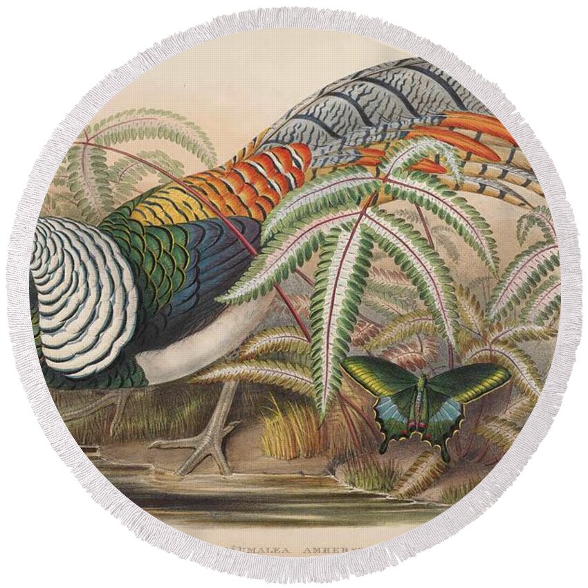 John Round Beach Towel featuring the mixed media Lady Amherst's Pheasant by Beautiful Nature Prints