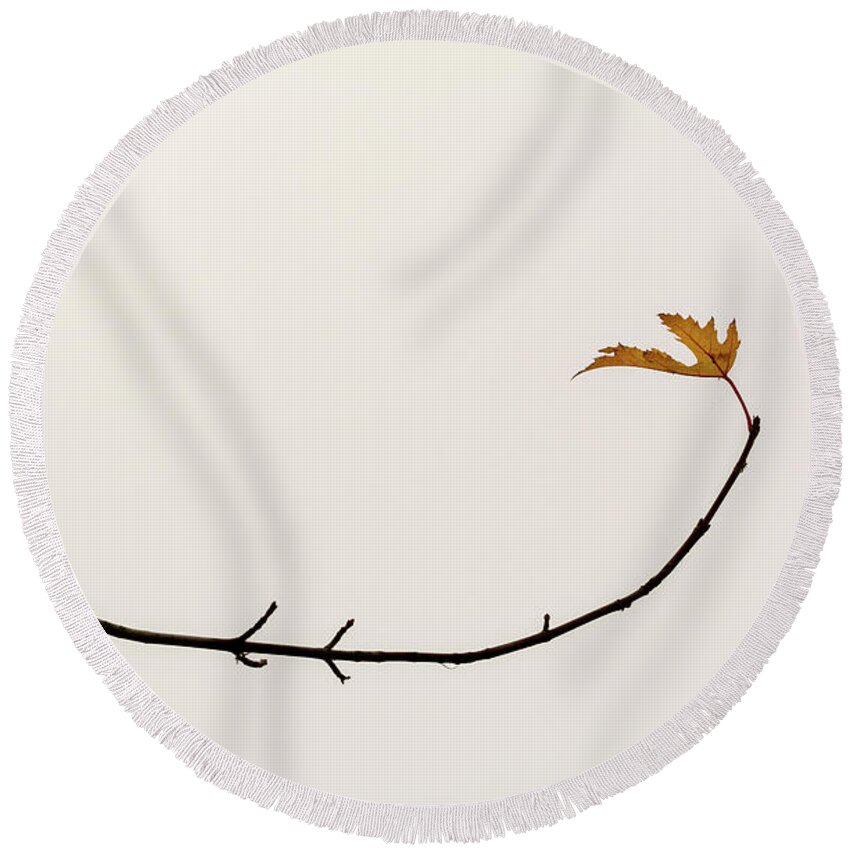Tree Round Beach Towel featuring the photograph Last Leaf by Martin Vorel Minimalist Photography