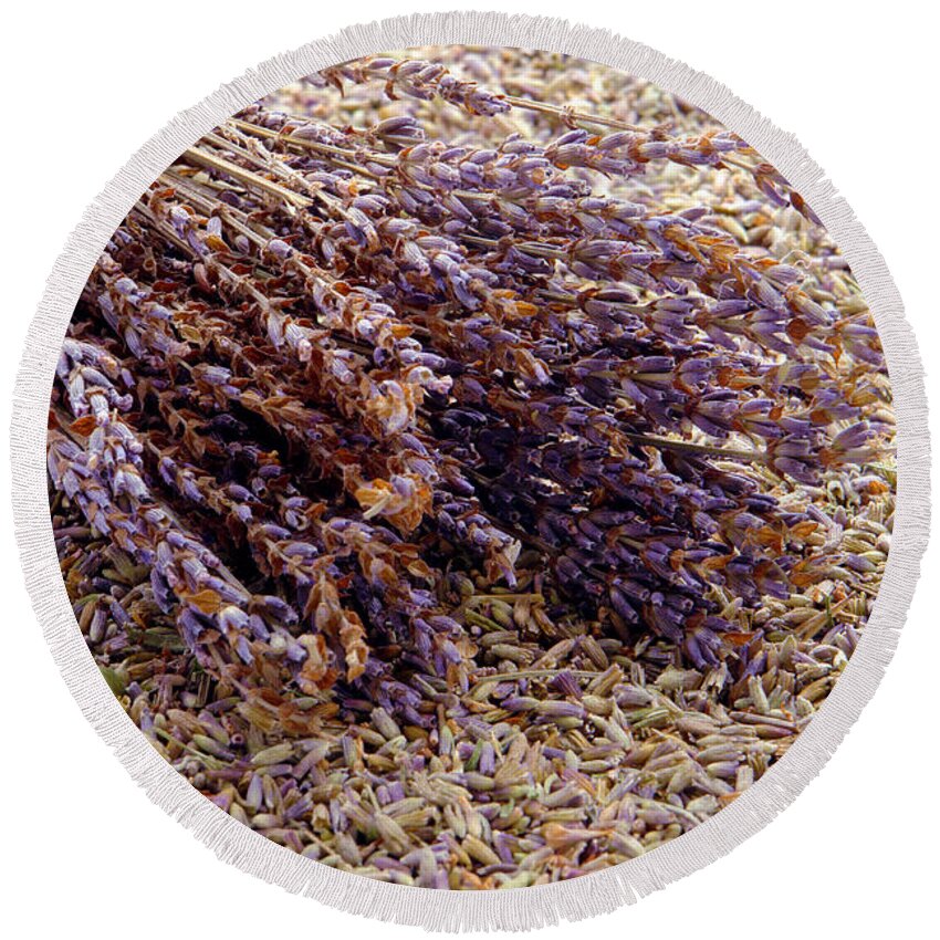 Essential Round Beach Towel featuring the photograph Lavender Flower Bunch in Seed Bed by Olivier Le Queinec