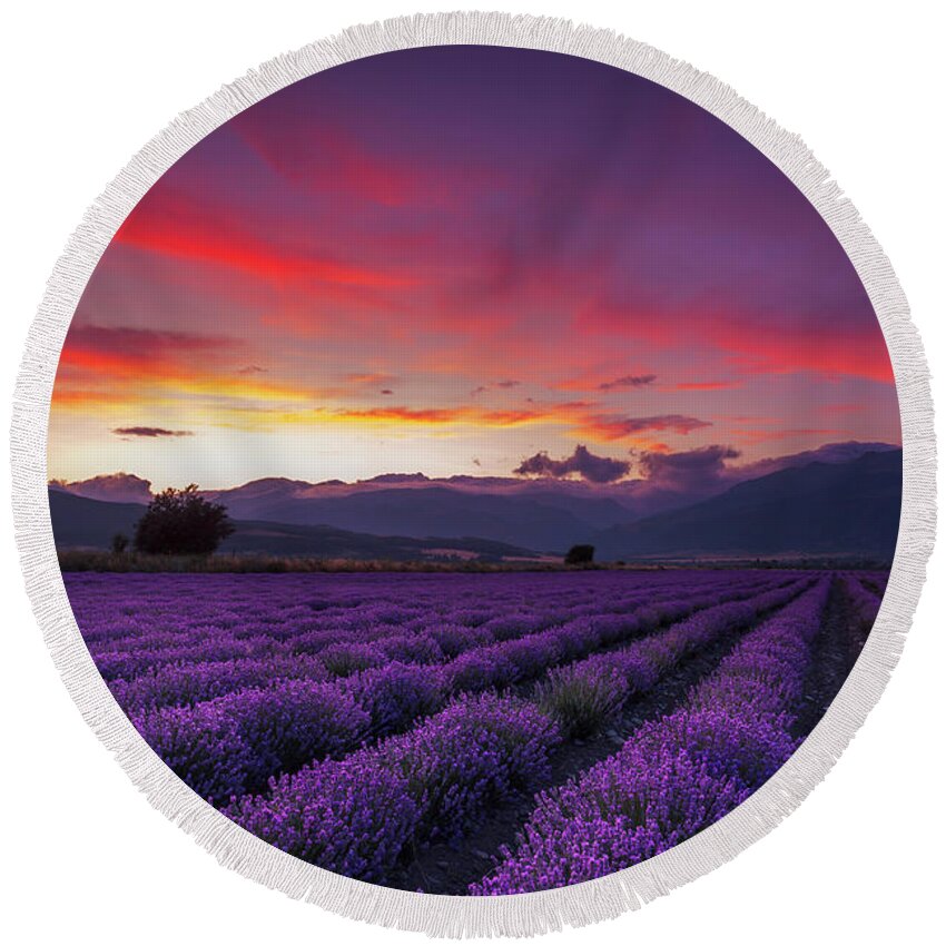 Dusk Round Beach Towel featuring the photograph Lavender Season by Evgeni Dinev