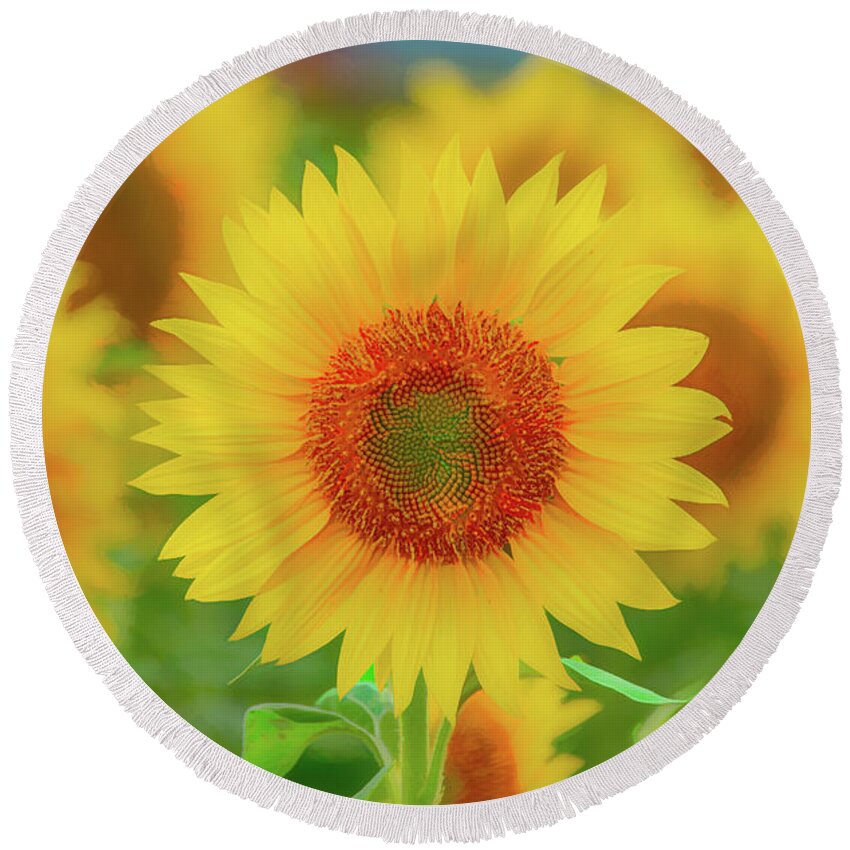 Sunflowers Round Beach Towel featuring the photograph Leader of the Band by Marcy Wielfaert
